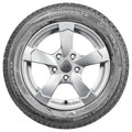 Continental - ContiWinterContact TS 800 - 175/55R15 77T BSW