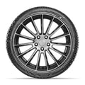 Doublestar - DW08 - 195/55R16 87H BSW
