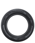 Nankang - Winter Activa SV-4 - 255/45R19 XL 104V BSW