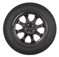 BFGoodrich - Trail-Terrain T/A - 225/60R17 99H BSW