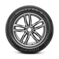 Radar - Dimax AS-8 - 295/35R24 XL 110V BSW