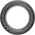 Maxxis - Premitra Snow WP6 - 205/45R17 XL 88V BSW