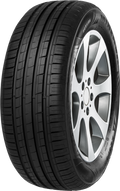 Minerva - F209 - 205/60R15 91H BSW