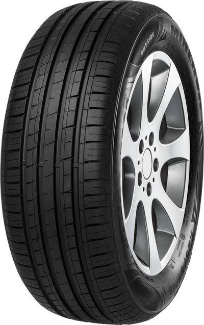 Minerva - F209 - 195/55R15 85V BSW
