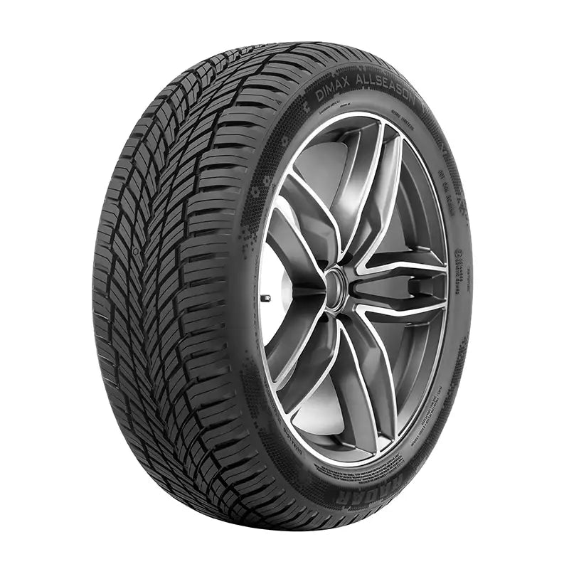 Radar - Dimax All Season - 215/60R17 XL 100V BSW
