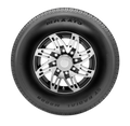 Maxxis - M8008+ - ST175/80R13 6/C S BSW