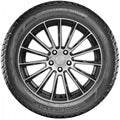 Doublestar - DW09 - 235/50R19 99H BSW