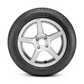 Radar - Dimax AS-6 - 195/65R15 91H BSW