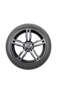 Hifly - HF805 - 295/35R21 XL 107Y BSW