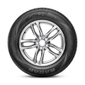 Radar - RPX-800+ - 215/70R16 XL 104H BSW