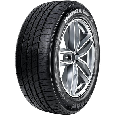 Radar - Dimax AS-8 - 295/25R22 XL 97Y BSW