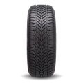 Dunlop - SP Winter Sport 4D - 225/50R17 XL 98H BLT