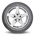 Dunlop - SP Winter Sport 4D - 255/50R19 103V BLT