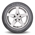 Dunlop - SP Winter Sport 4D ROF - 215/55R18 95H BLT