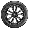 Vredestein - Wintrac Pro+ - 275/35R21 XL 103Y BSW