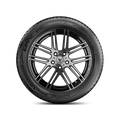 Vredestein - Wintrac Pro - 255/35R19 XL 96Y BSW