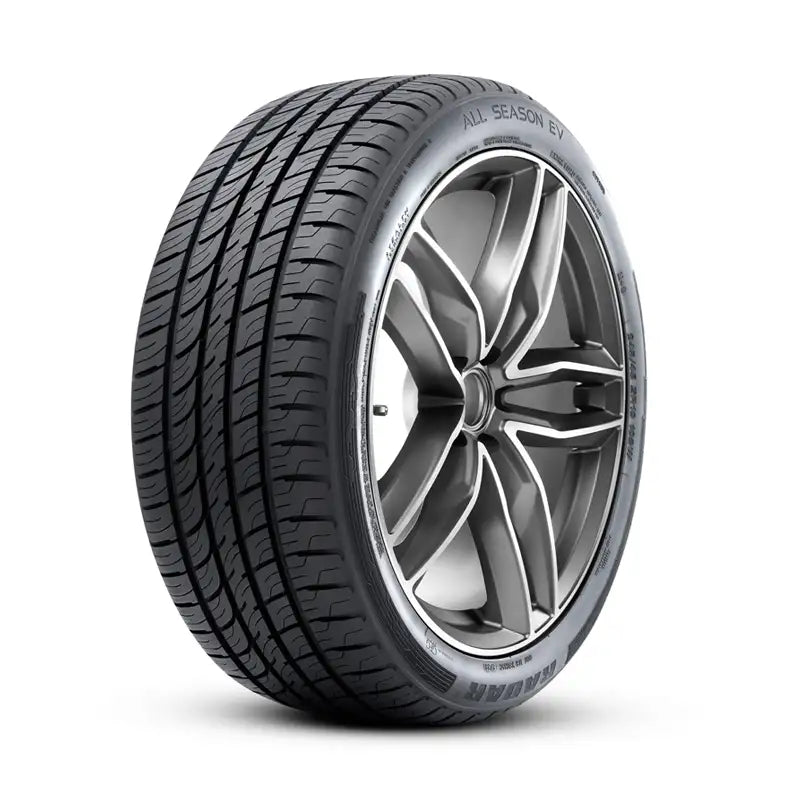 Radar - All Season EV - 235/40R19 XL 96W BSW