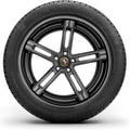 Continental - ContiWinterContact TS 830 P - 265/40R19 98V BSW