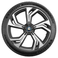 Michelin - Pilot Sport EV - 295/30R21 XL 102Y BSW