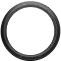 Radar - All Season EV - 245/45R19 XL 102W BSW